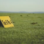 lower scores fewer mistakes